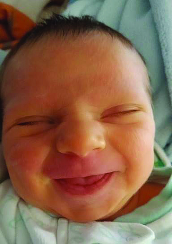 Hudson Provan