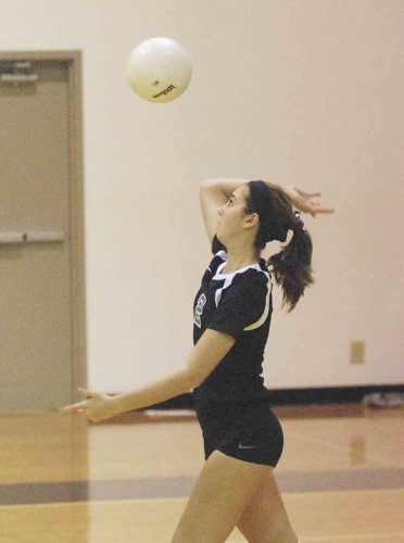 Parkersburg Catholic's Abby Witucky attempts to serve the ball during a high school volleyball match against Wood County Christian School Monday in Williamstown.