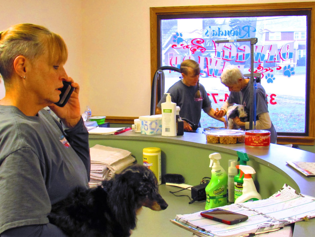 Local Dog Grooming Jobs Local Dog Grooming Jobs