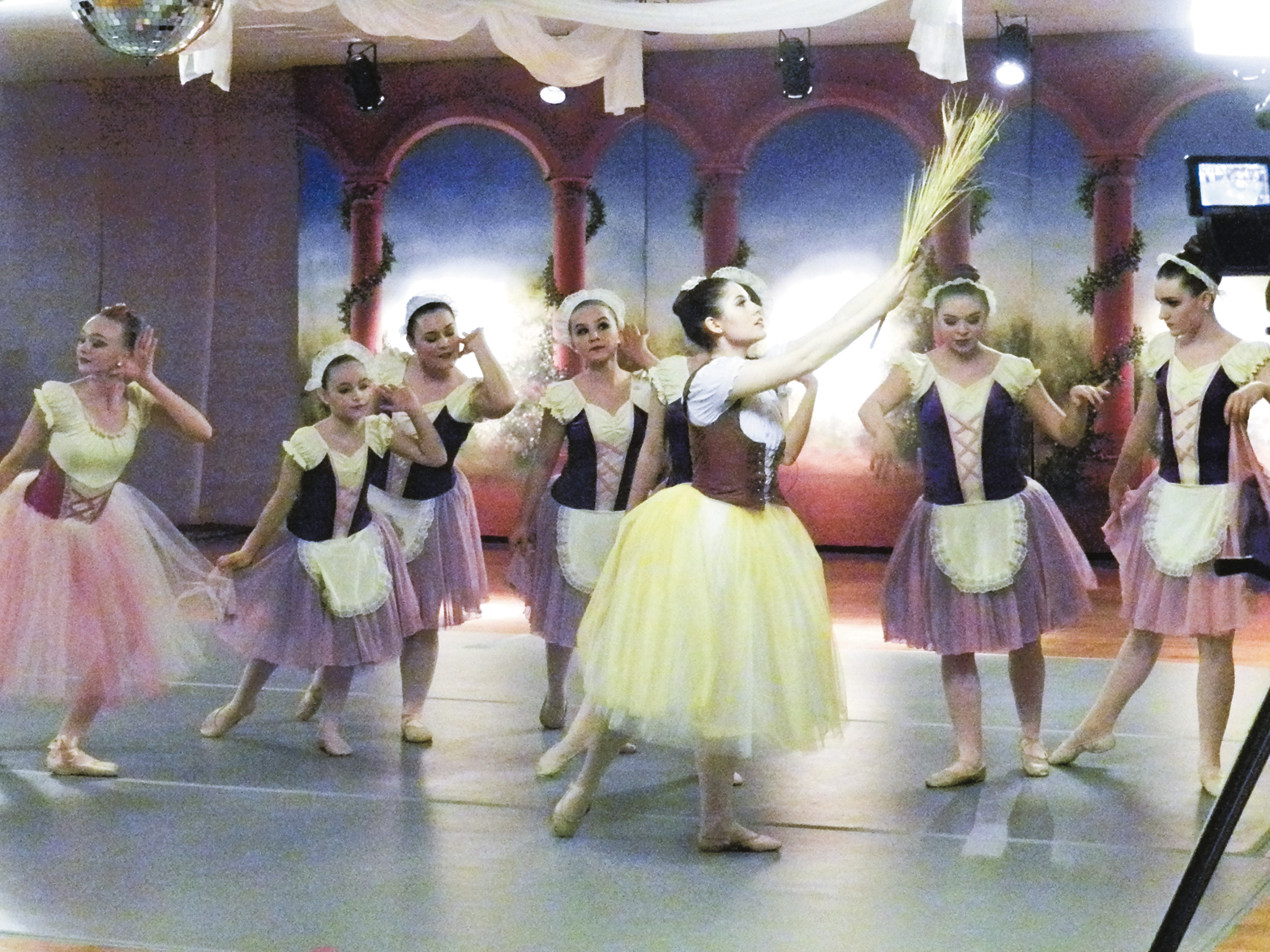 Ballet Gala - Warren Tribune Chronicle